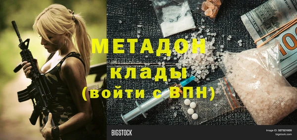 индика Козловка