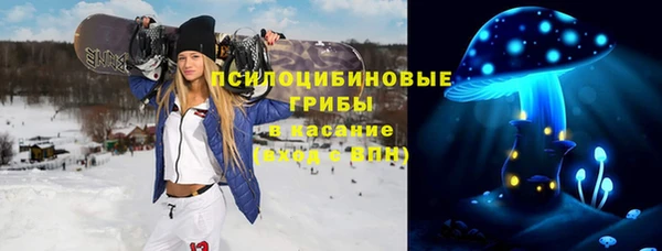 крисы Богданович