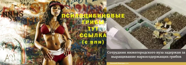 кристаллы Кинешма